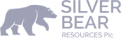 Partner logo 11